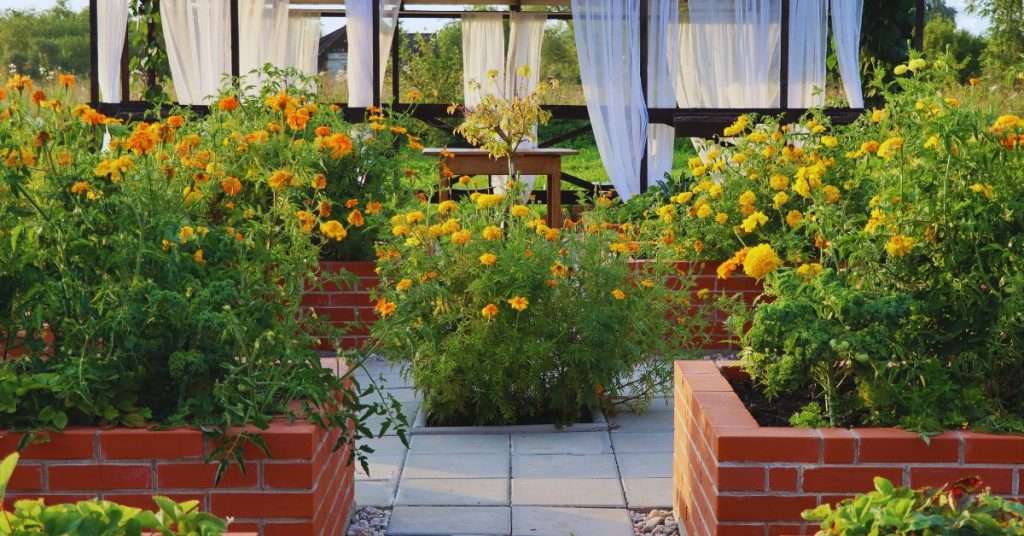 Jardinage surélevé en brique