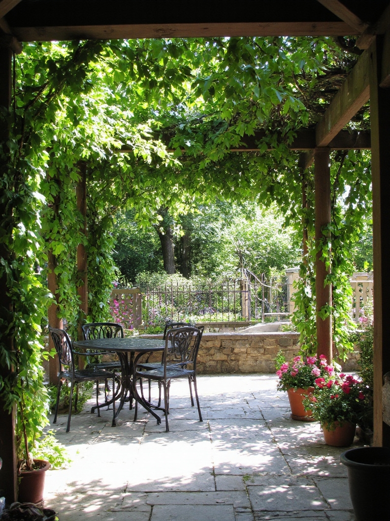 pergola vivante avec des vignes
