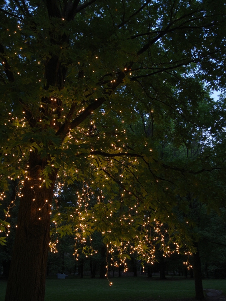 décor de jardin illuminé magique