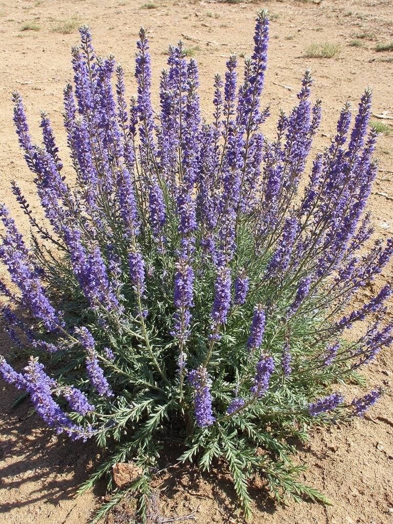 beauté résiliente dans les jardins