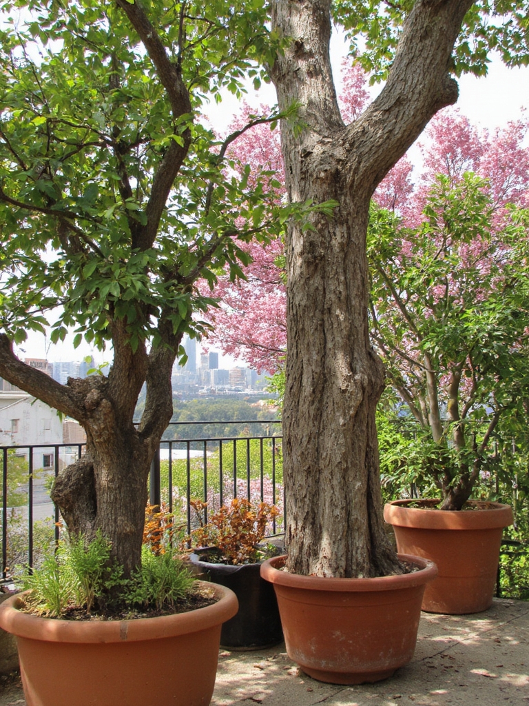 arbre coloré nécessitant peu d'entretien