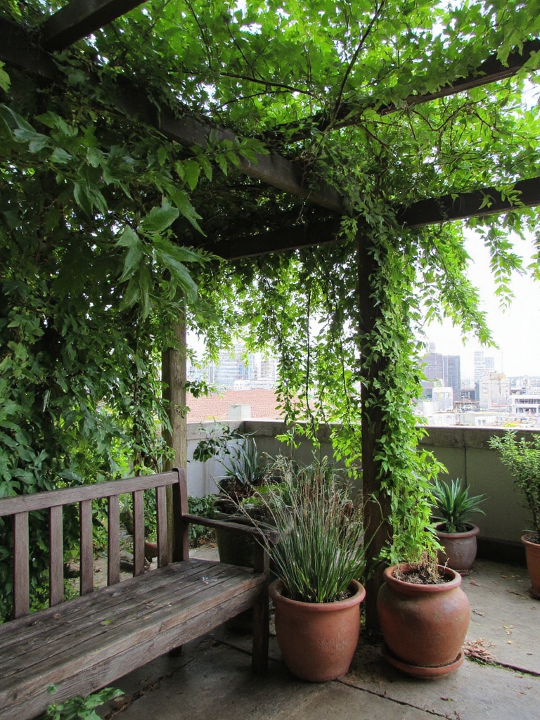 toit vert luxuriant et ombragé