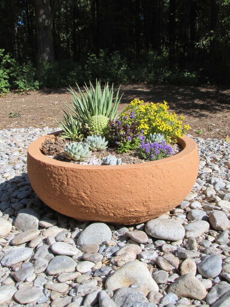 jardin de rocaille en pot