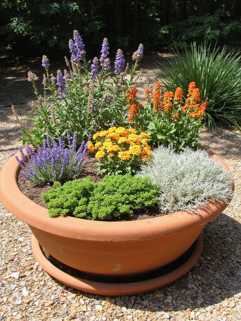 essentiels de jardin vivace aimant le soleil