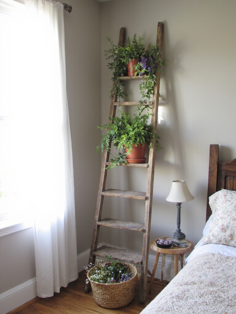 échelle antique avec des plantes