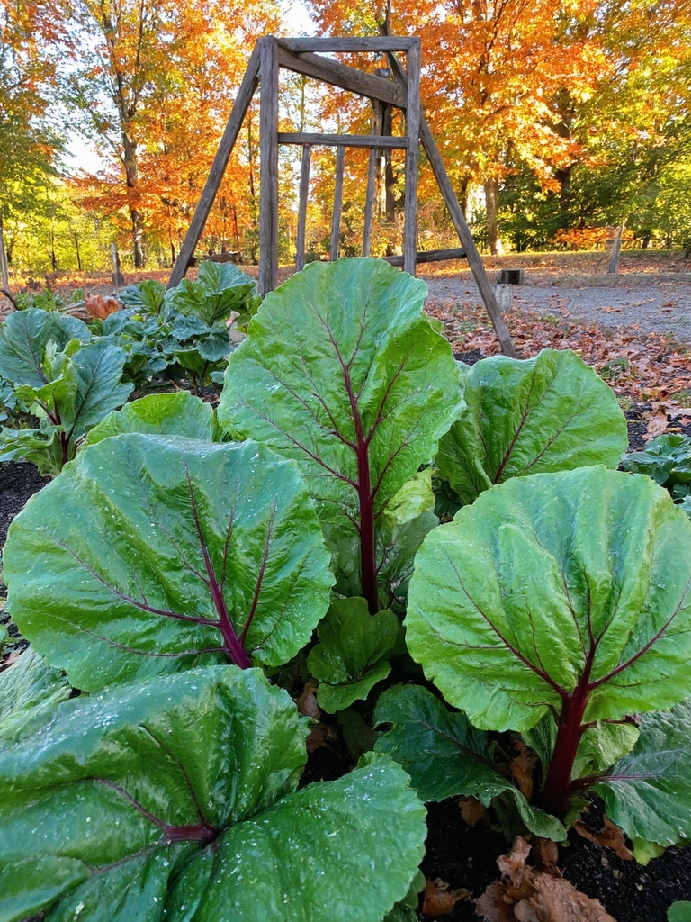 super-aliment nutritif coloré du jardin