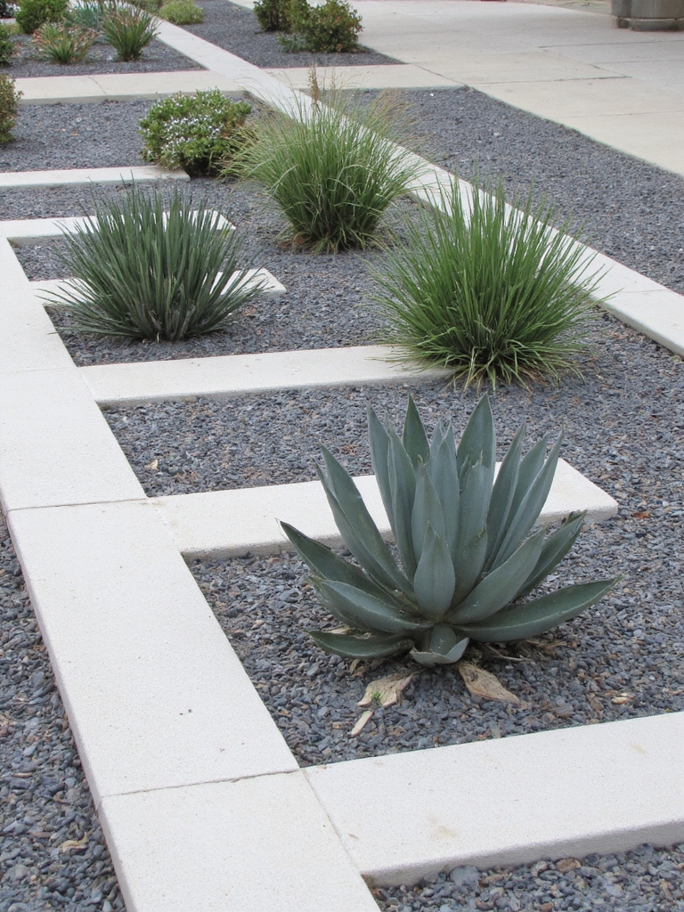 conception de jardin moderne minimaliste