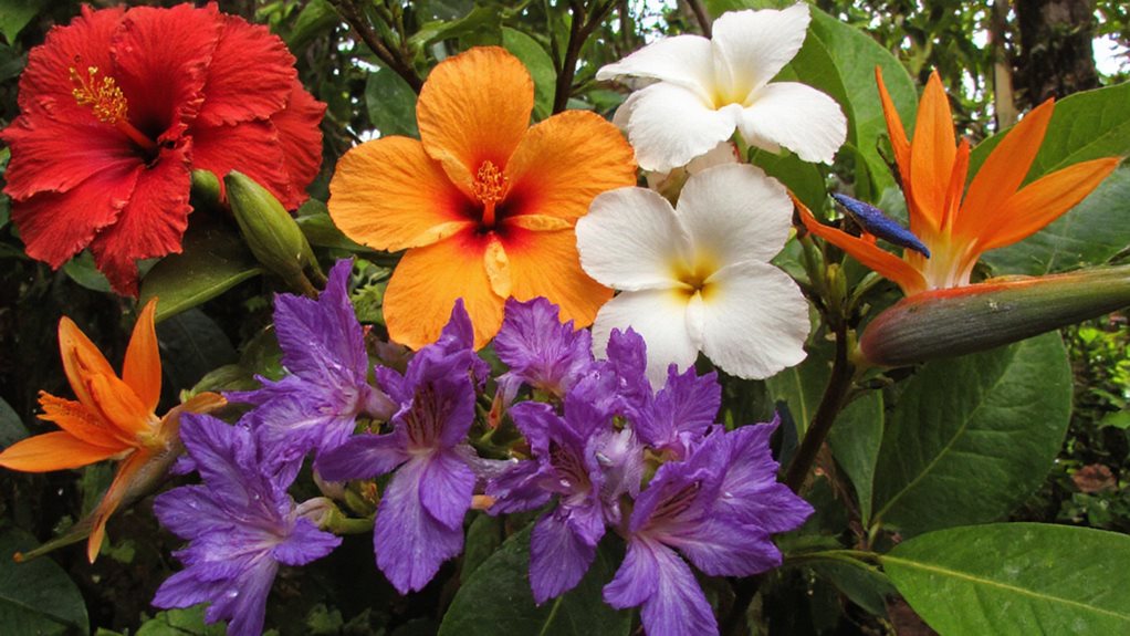 variétés de fleurs hawaiiennes tropicales