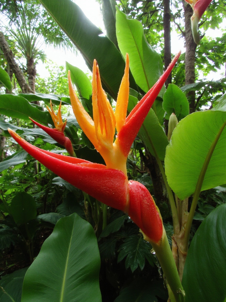 paradis tropical explosion de fleurs