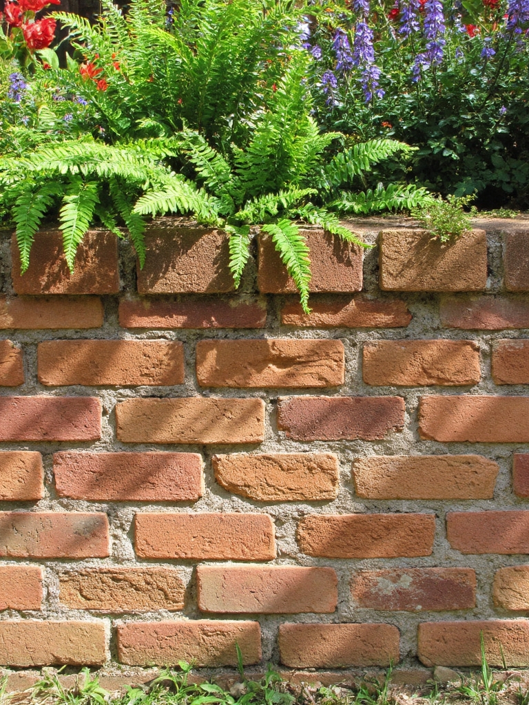 murs en briques avec des plantes
