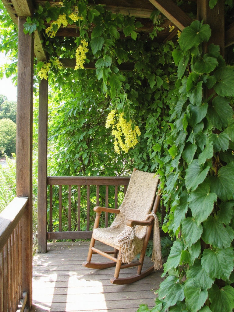 cultivation de la vigne de kiwi délicieuse