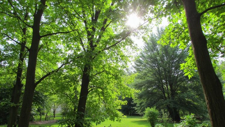 arbres à croissance rapide pour jardins