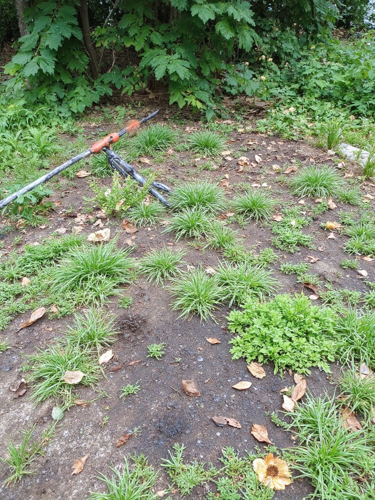 Des pratiques d'arrosage inconsistantes nuisent