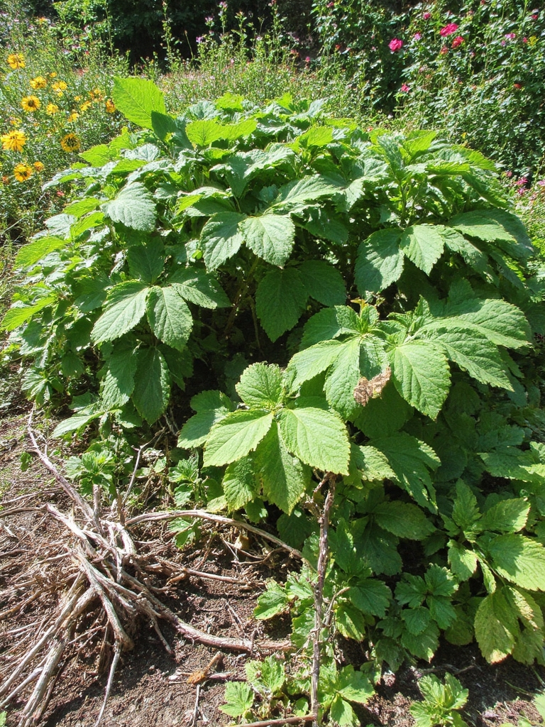 Plus d'espace, plus de beauté