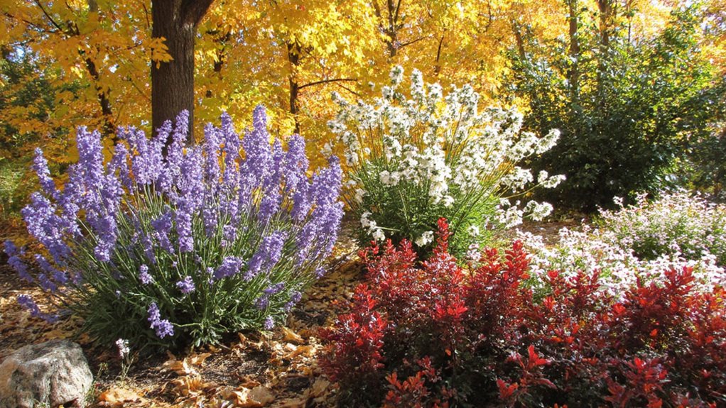 plantes vivaces à ne pas tailler