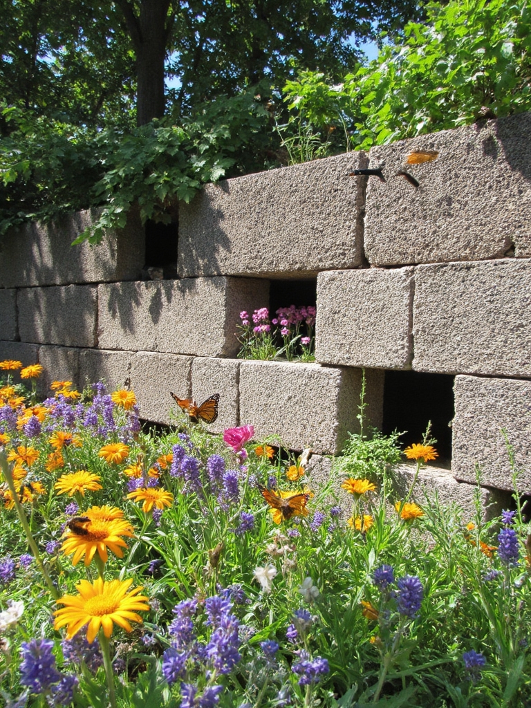 création de bordure de jardin pollinisateur