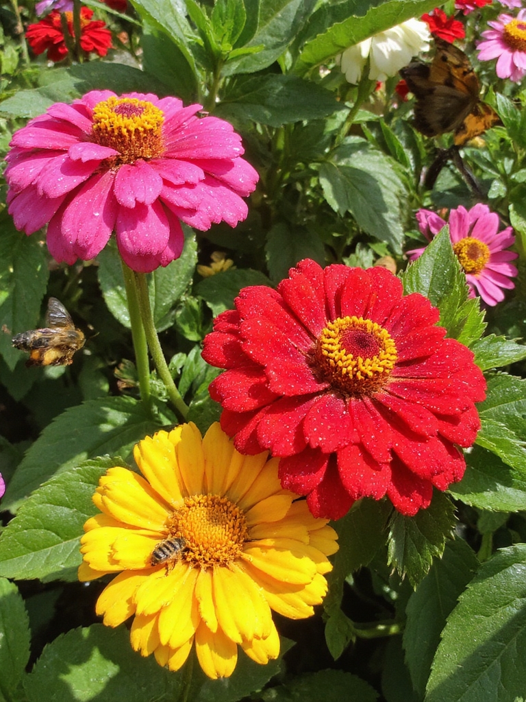 Des fleurs colorées attirent les pollinisateurs