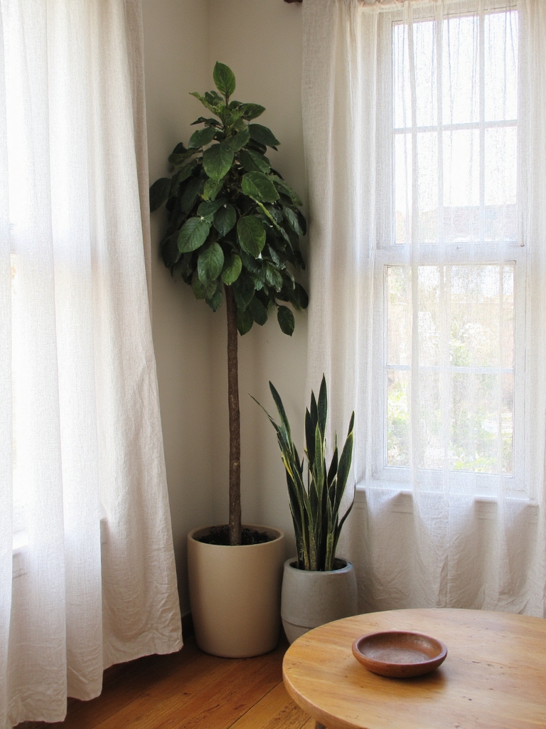 Des tons neutres mettent en valeur la verdure