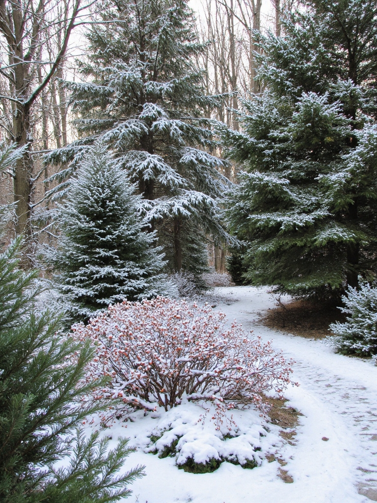jardin d'hiver toujours vert vibrant