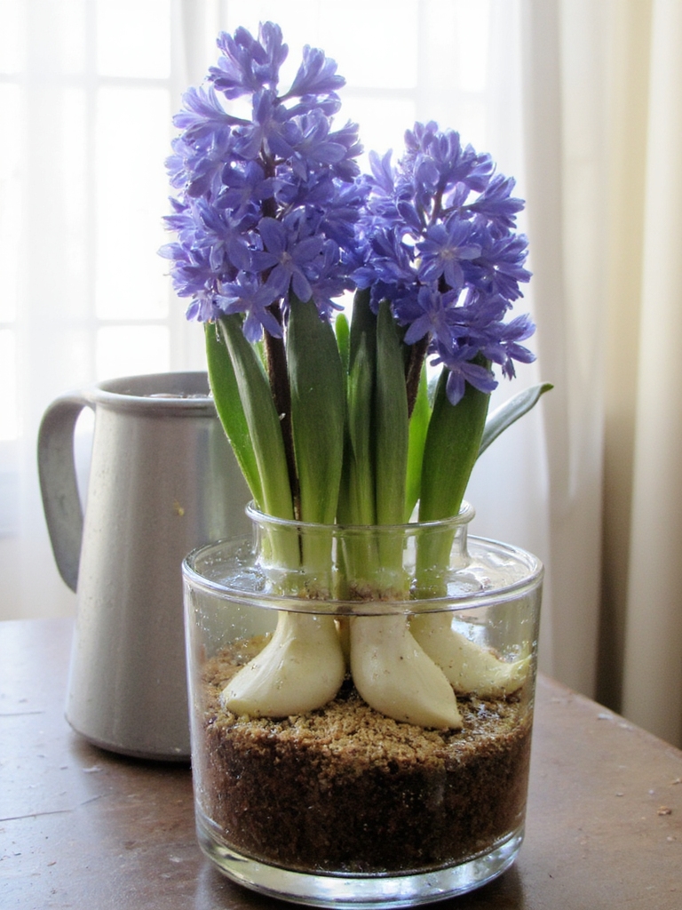 arrosage hebdomadaire fertiliser régulièrement