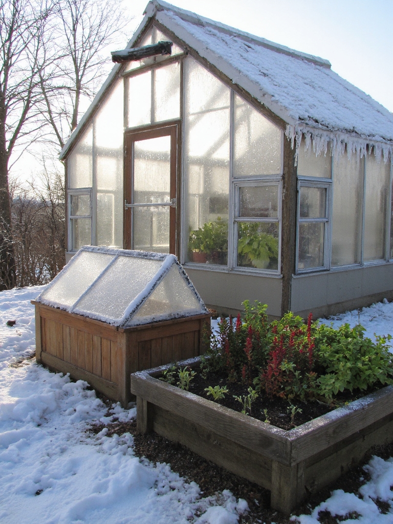 jardinage d'hiver avec des serres