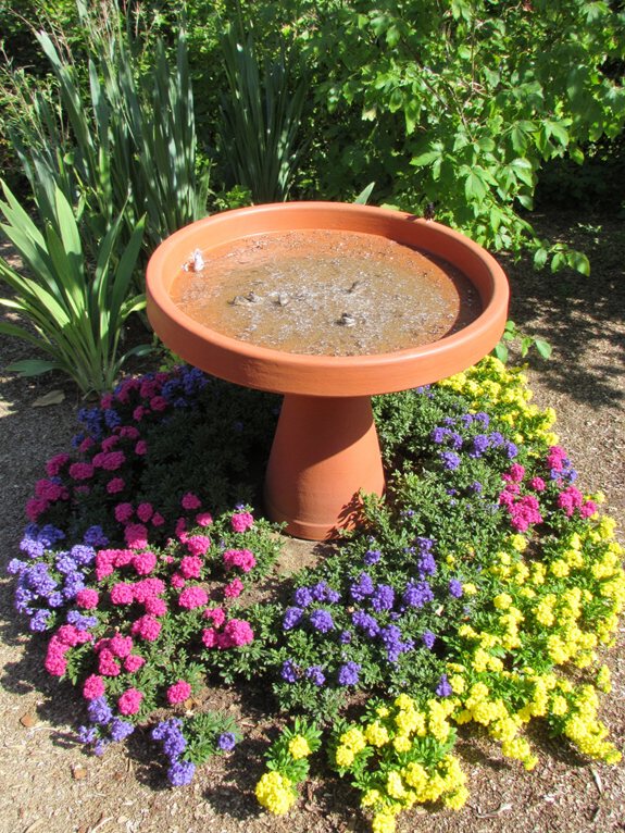fontaine à oiseaux jardin vitrine de plantes