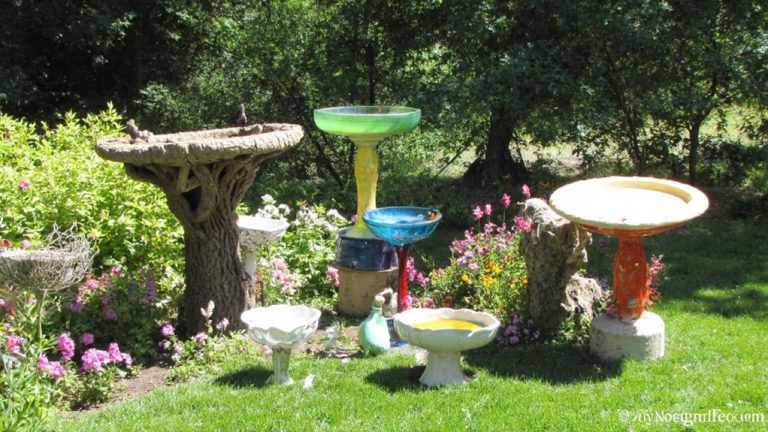 idées de baignoire pour oiseaux DIY