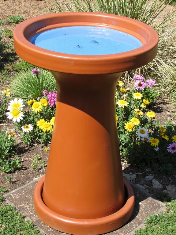 bassin pour oiseaux de jardin