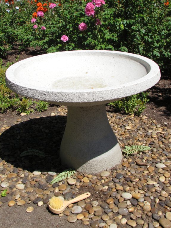 garder la fontaine à oiseaux propre et sûre
