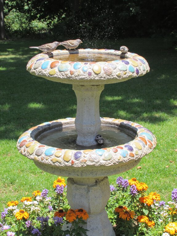 bain d'oiseaux à plusieurs niveaux