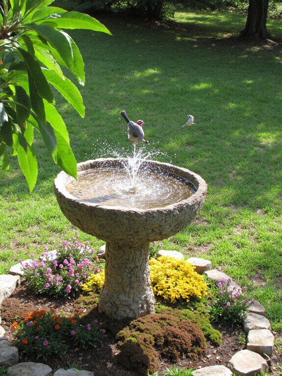 fontaine à oiseaux solaire