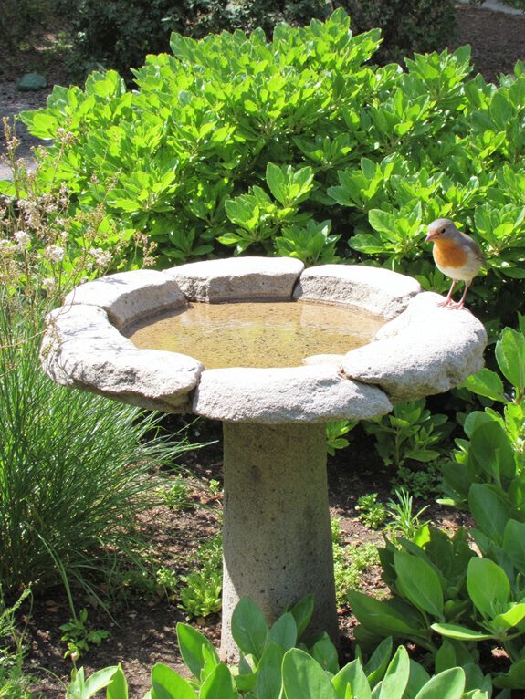guide DIY pour un bain d'oiseaux en pierre